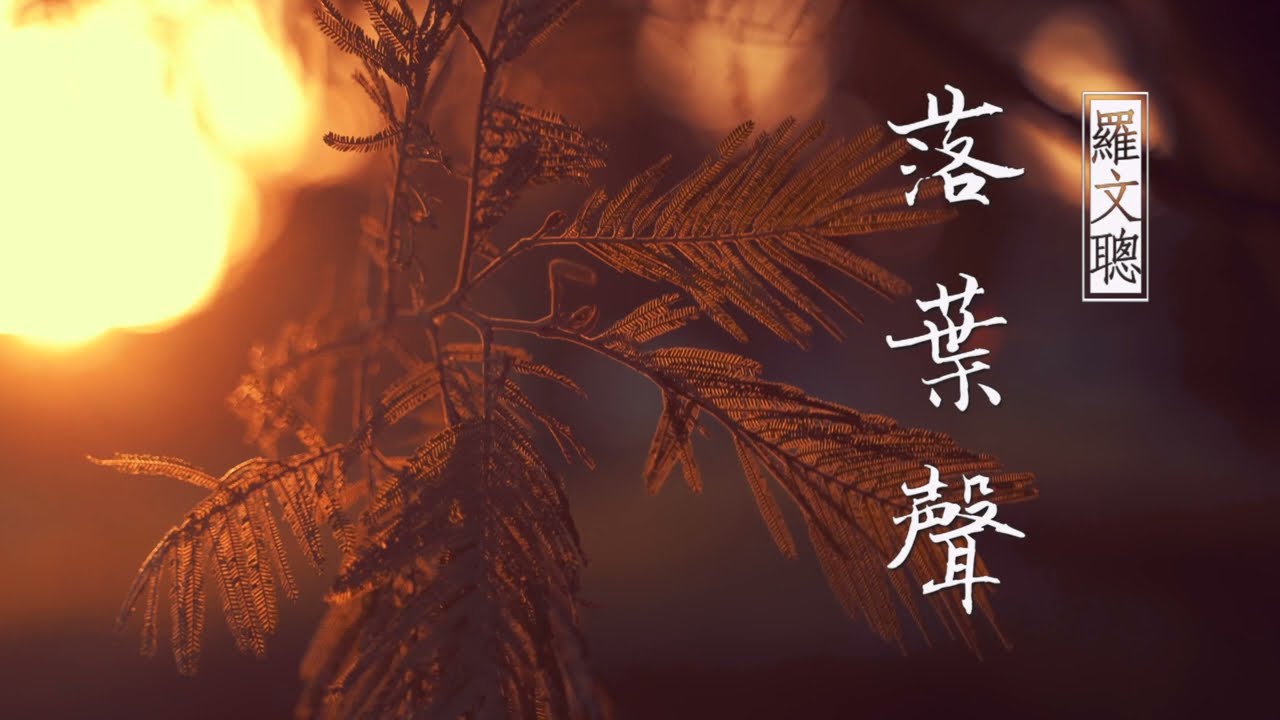 落葉聲   4K  演唱： 羅文聰
