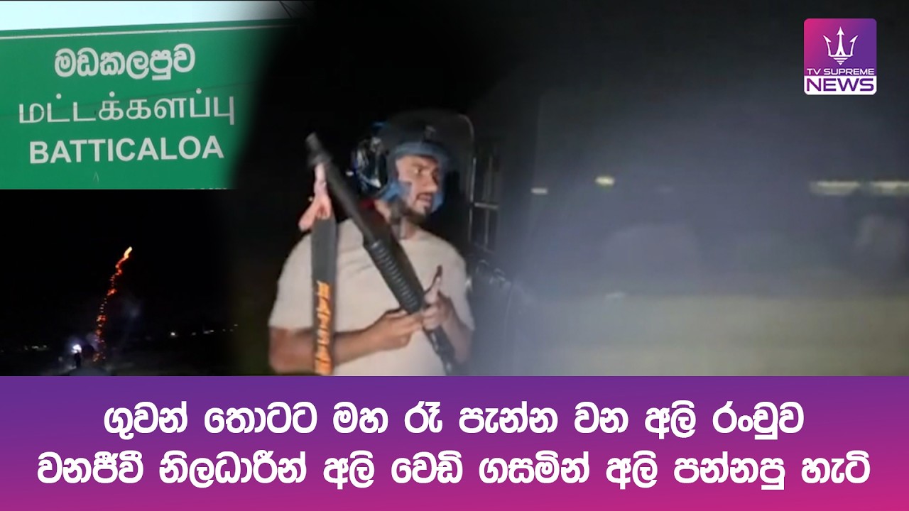ගුවන් තොටට මහ රෑ පැන්න වන අලි රංචුව... වනජීවී නිලධාරීන් අලි වෙඩි ගසමින් අලි පන්නපු හැටි