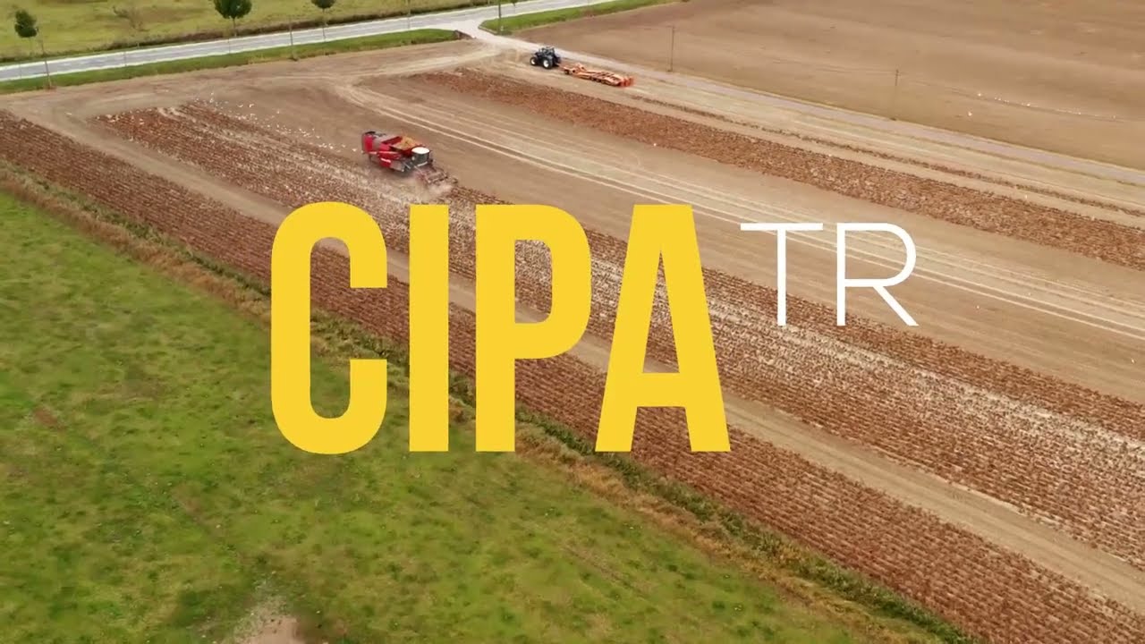 NR 31 CIPA TR (CIPA PARA TRABALHO RURAL) ONLINE ( 20 H. EAD).