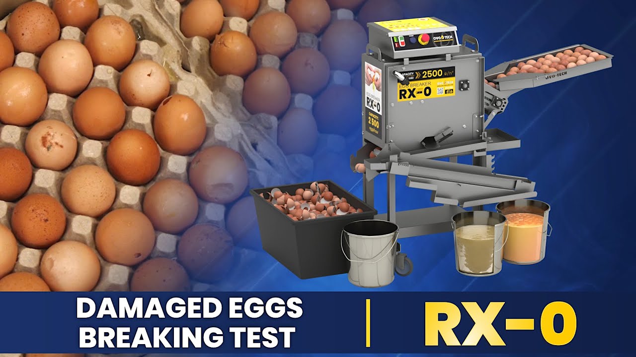 Test of breaking damaged eggs on the RX-0 machine from OVO-TECH