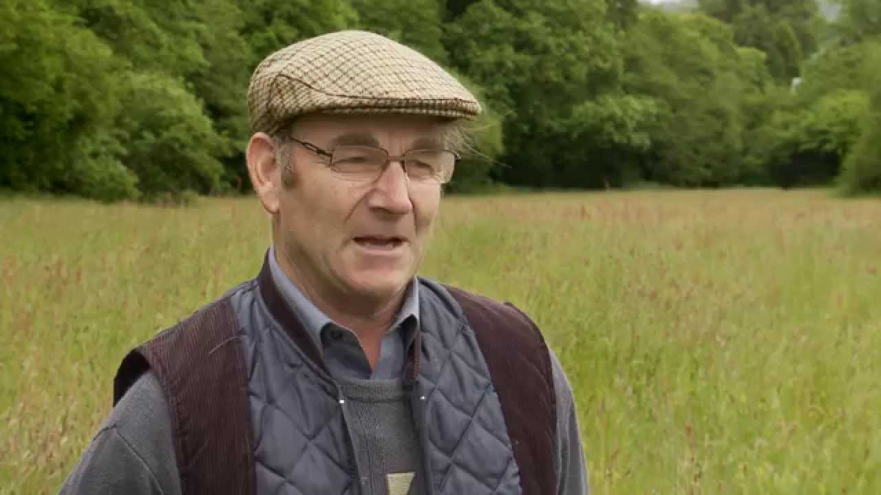Restoring grassland habitats on Dorset farms - West Dorset Hills & Vales Living Landscape