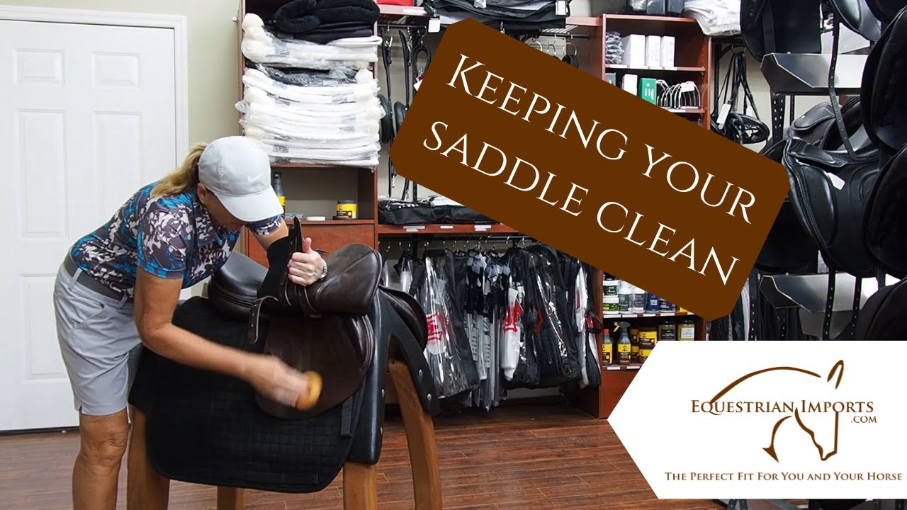 How to clean your saddle after riding | Equestrian Imports process for everyday saddle cleaning