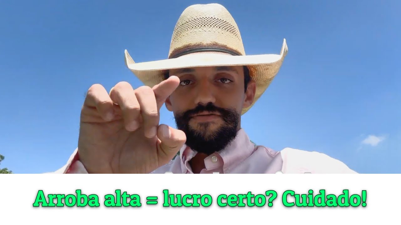 Verdades Duras da Pecuária Que Ninguém Te Contou