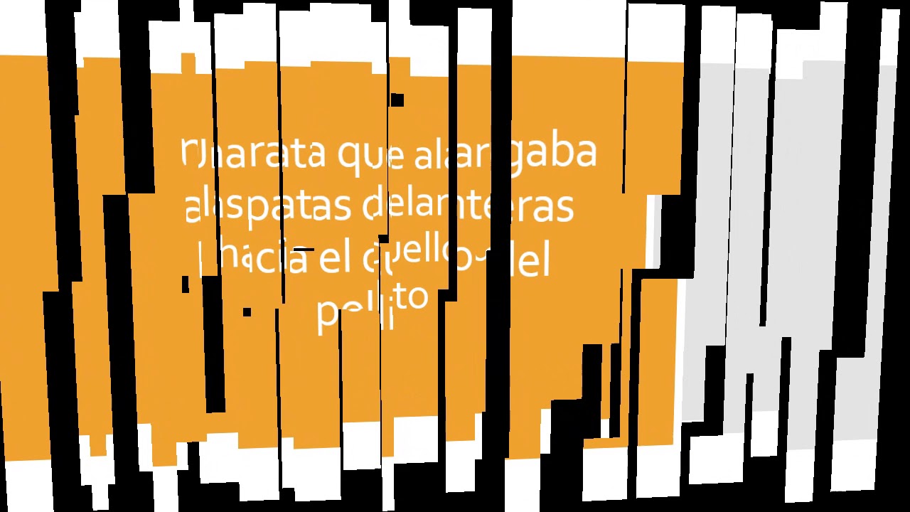 ESTUDIA PARA HISTORIA DE UNA GAVIOTA Y DEL GATO QUE LE ENSEÑO A VOLAR