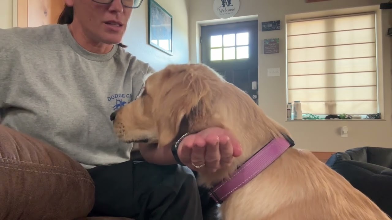 Chin rest with a goal to teach hold