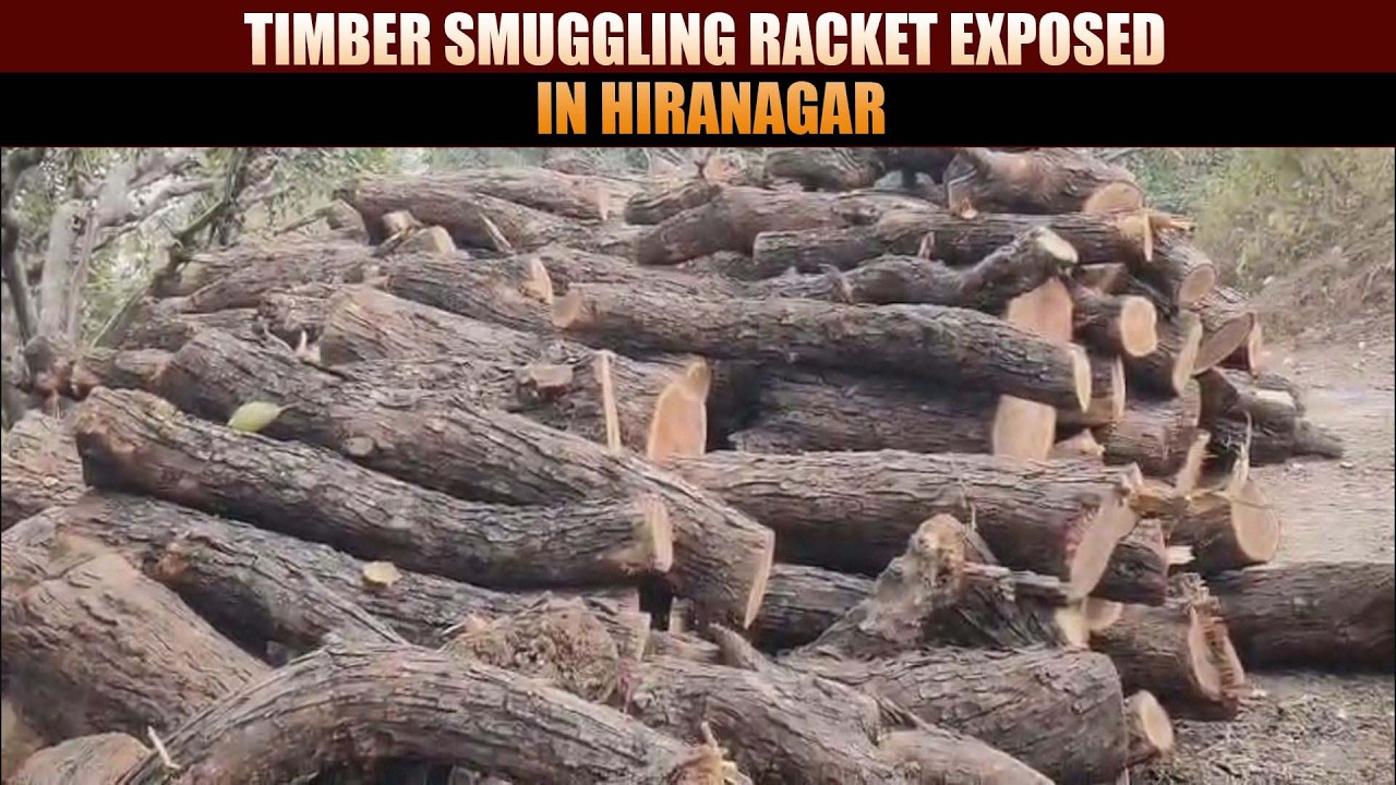 Timber smuggling racket Exposed in Hiranagar