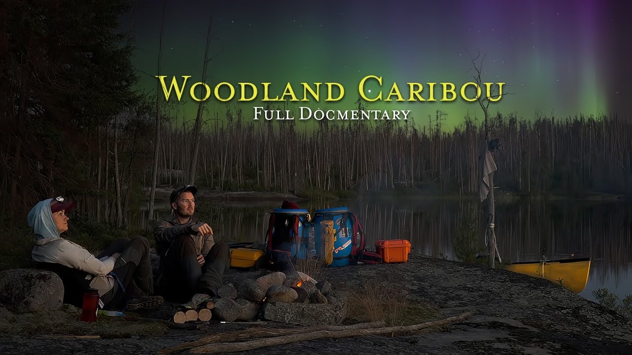 Wilderness Expedition: Exploring Woodland Caribou Provincial Park | Documentary