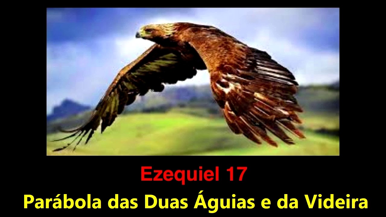 Ezequiel 17 Parábola das Duas Águias e a Videira