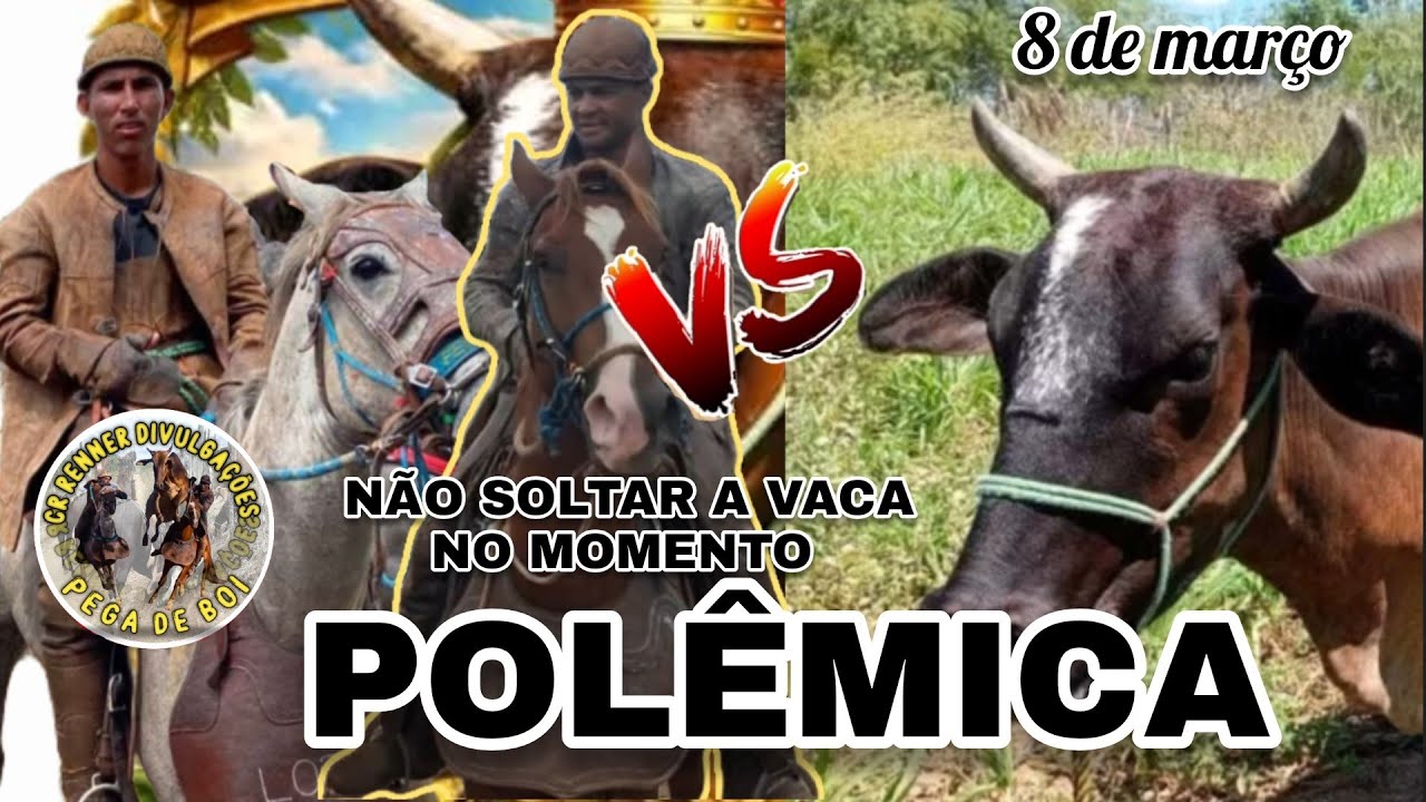 Polêmica sobre a Vaca Lindinha  - Não vai soltar a Vaca no momento???