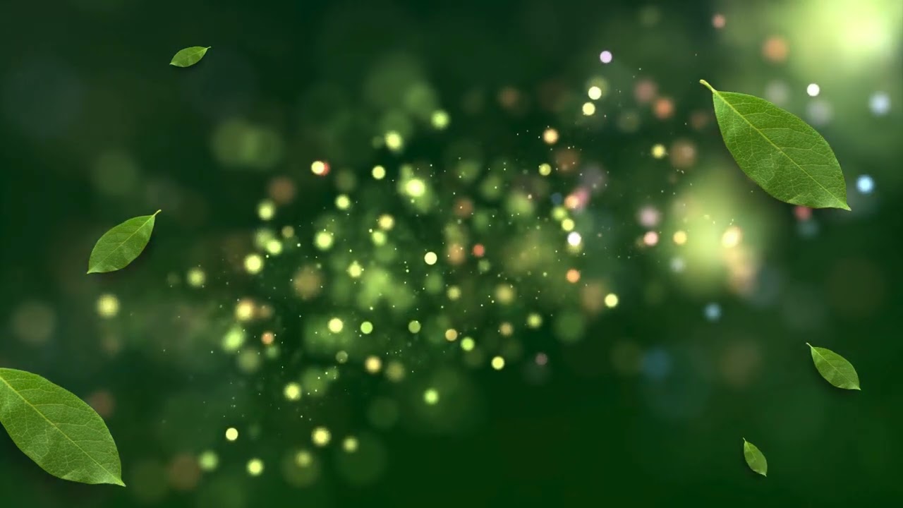 Whispers of the Jungle V1: Deep Forest Meditation | 432Hz Nature Sounds for 5D Awakening