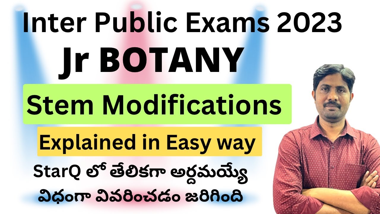 Stem Modifications || Inter First Year Botany Most Important Questions || IPE 2023