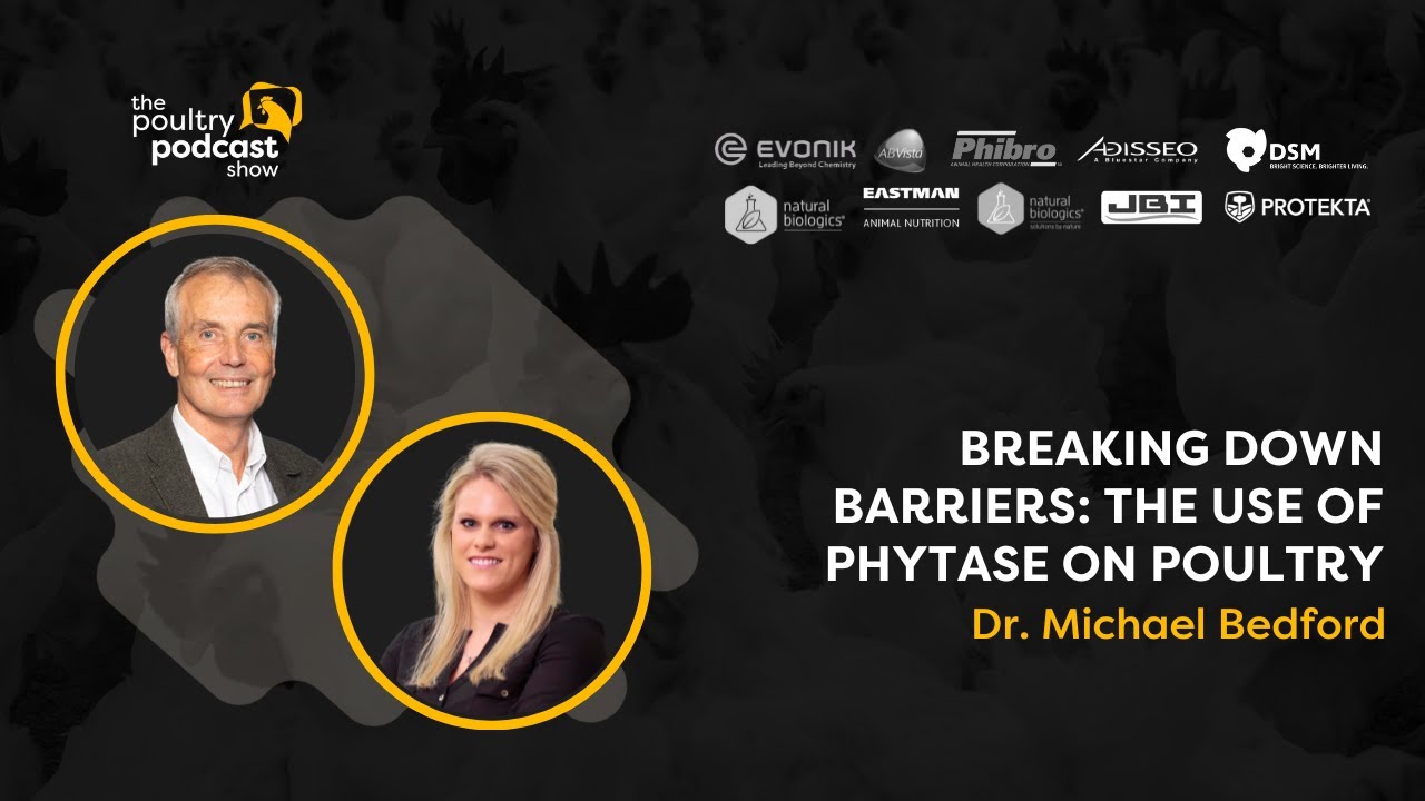 Dr. Michael Bedford: Phytase Use in Poultry | Ep. 33