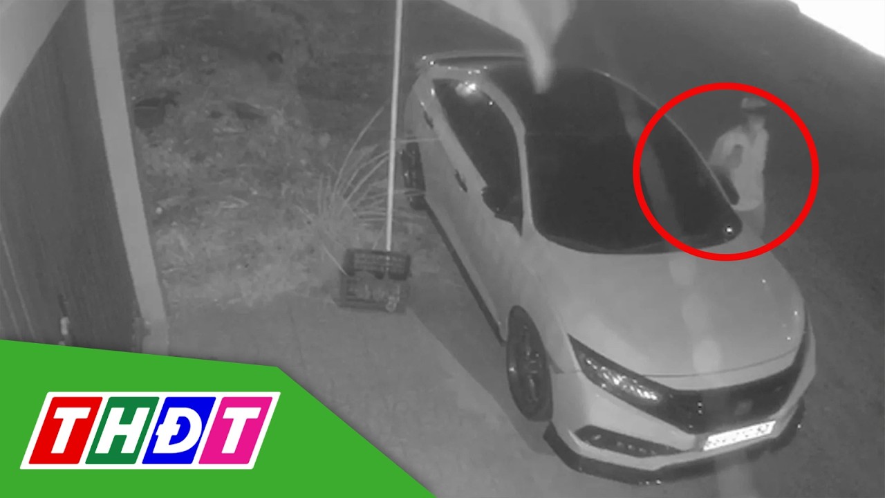 Many cars in An Giang have had their rearview mirrors broken by vandals | THDT