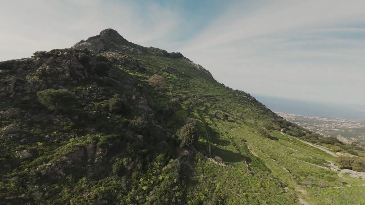 AVATA2