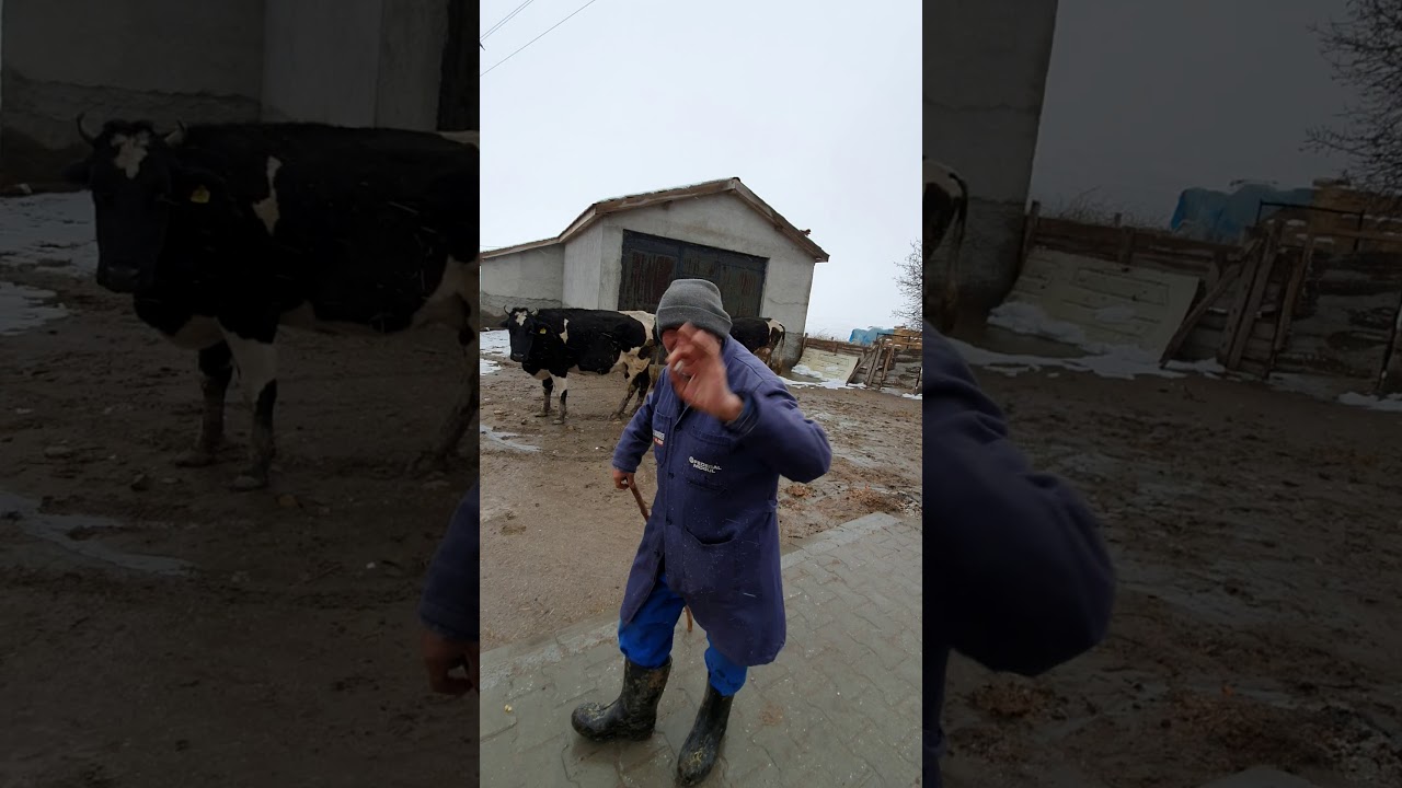 Avşar köyü 7 şubat 2020