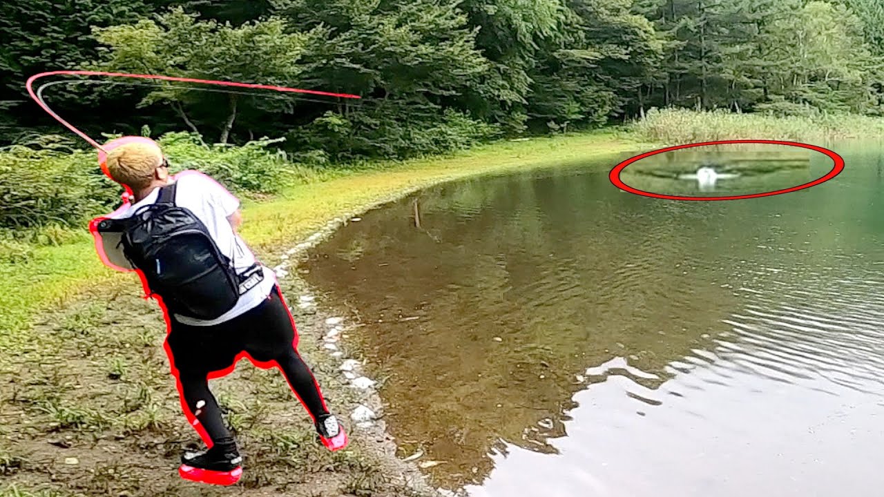 【神回】まさかこんなでかい魚釣れるとは思わんし！