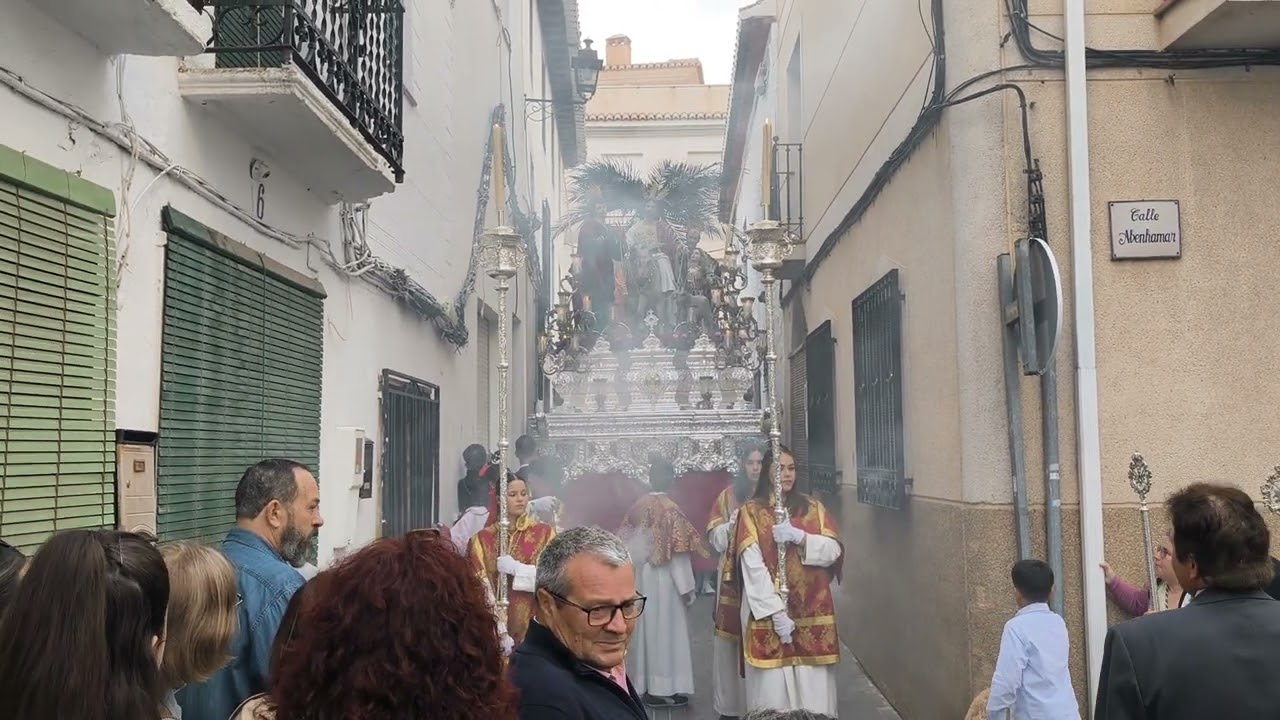 Domingo de Ramos  Hermandad de la Borriquilla de Padul 13