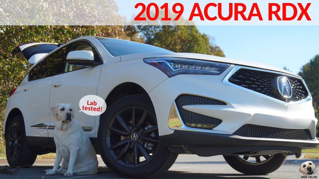 Acura RDX 2019: обзор Andie the Lab! #Acura #LabTESTED #AndietheLab