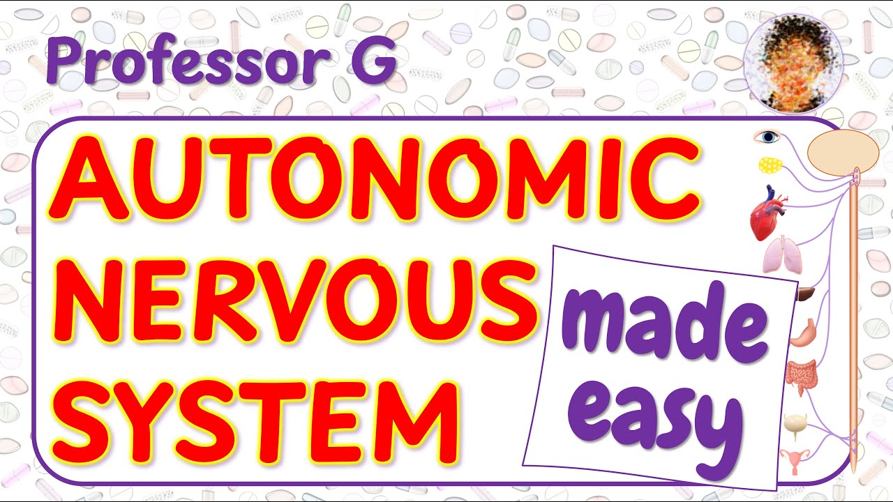 Th Autonomic Nervous System explained: Receptors, Pathways & Drug Targets Made Easy