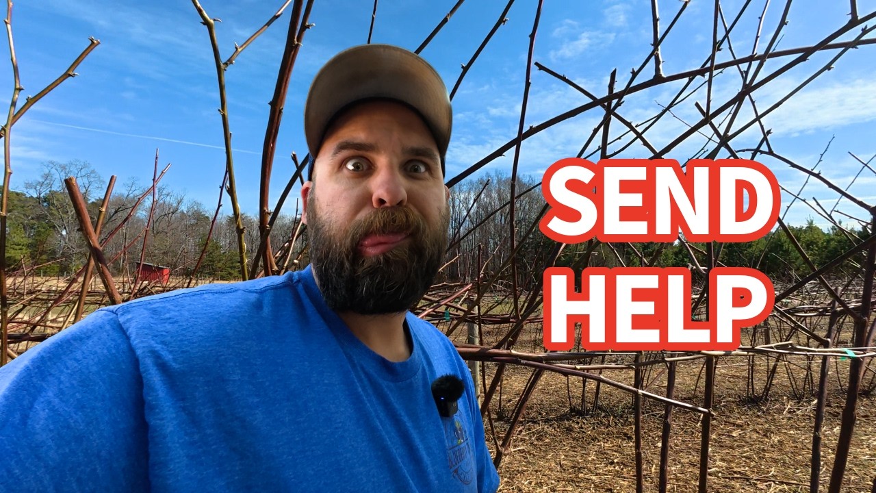 This Is Why Farmers Complain (Blackberry Edition)