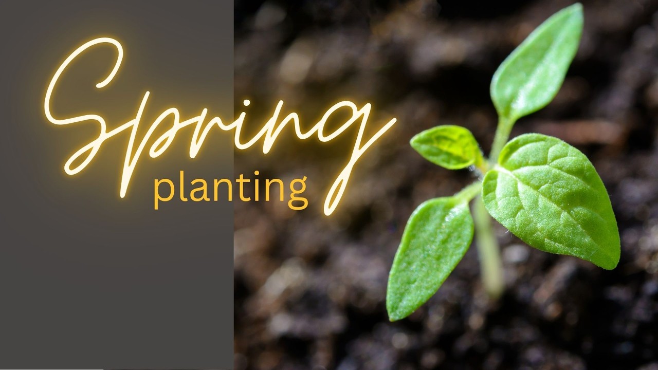 Planting a New Garden: Seed Starting