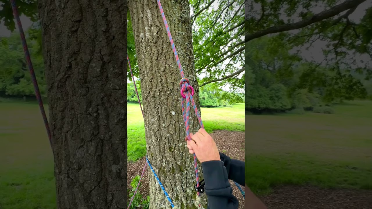 Retrievable 3:1 on SRS system. #arborist #treeclimber #arblife