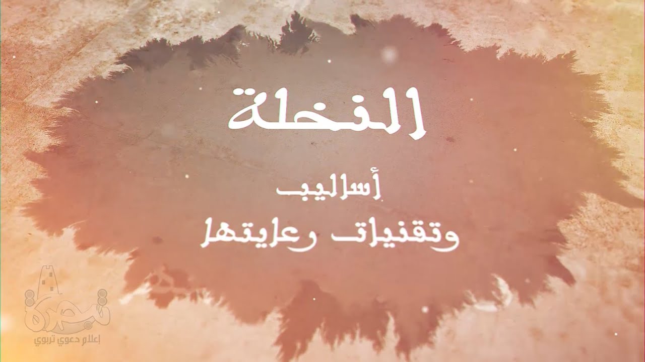 النخلة، أساليب وتقنيات رعايتها - عبد العزيز عبد الوهاب