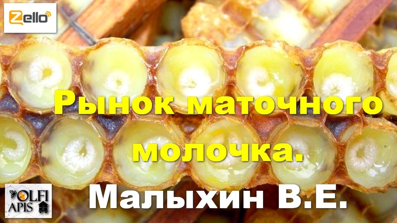 Рынок маточного молочка. #маточное_молочко. Малыхин В. Е.