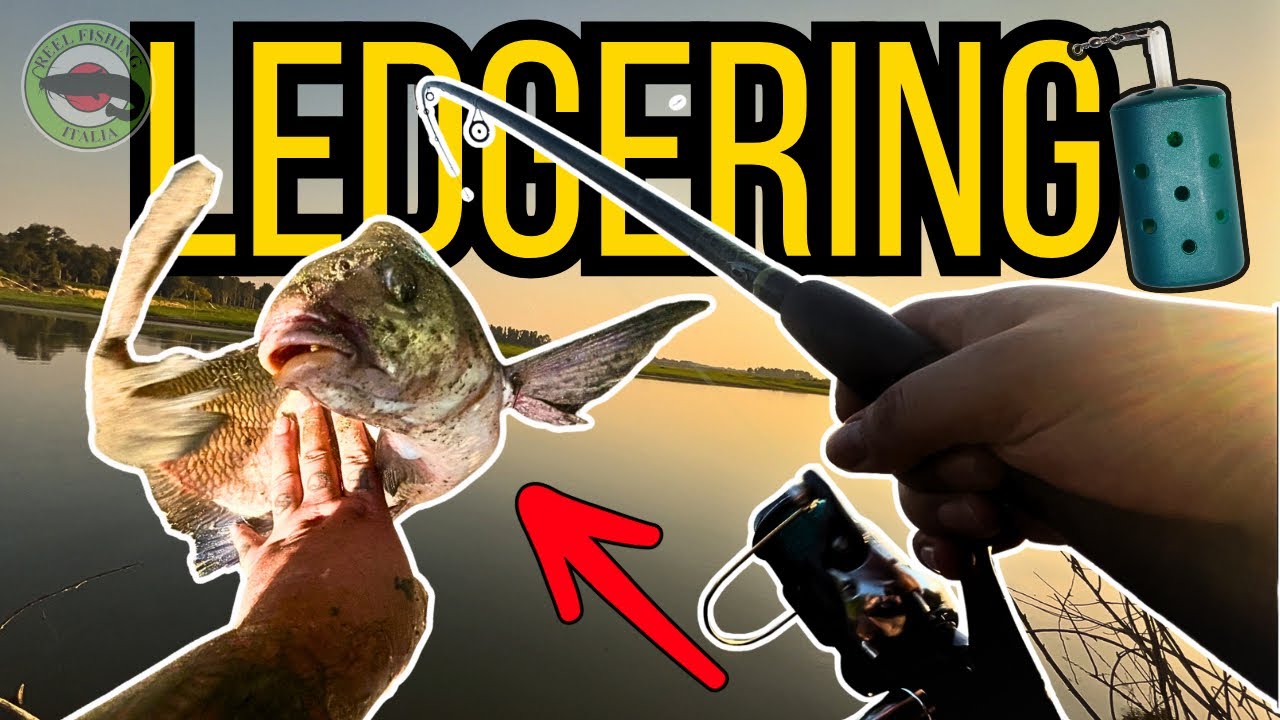QUALI PESCI prendiamo nel FIUME PO ? Ledgering di giorno e pesca pesante di notte.