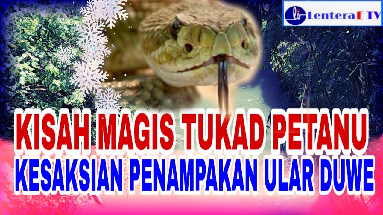 Kesaksian Kesakralan Tukad Petanu Ubud