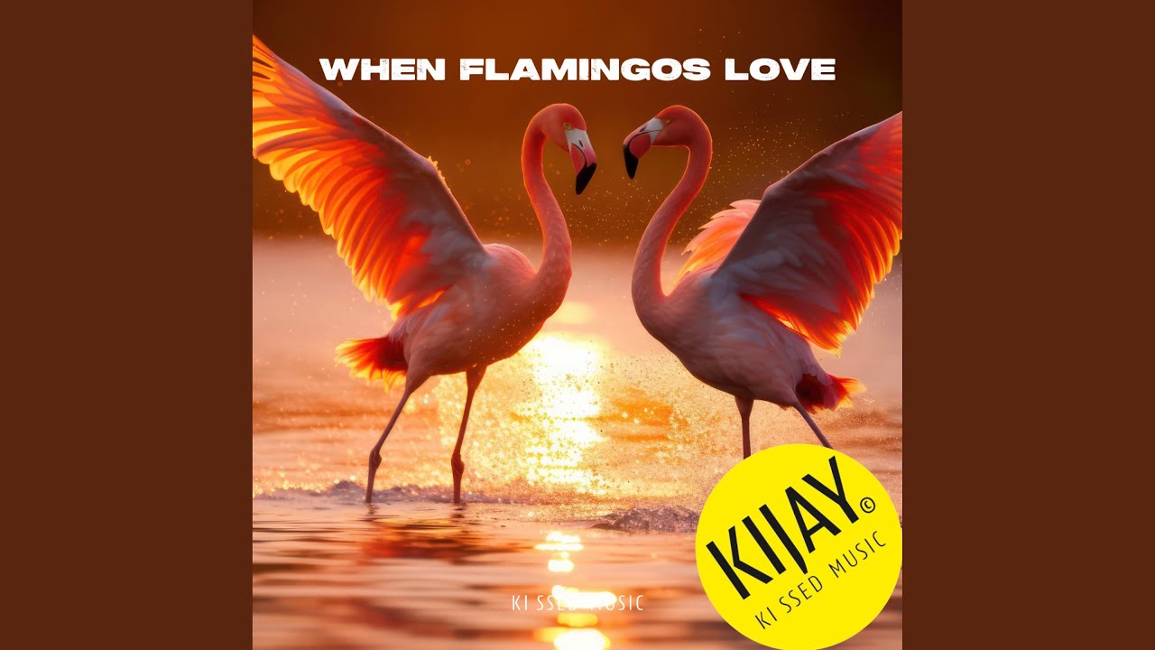 WHEN FLAMINGOS LOVE
