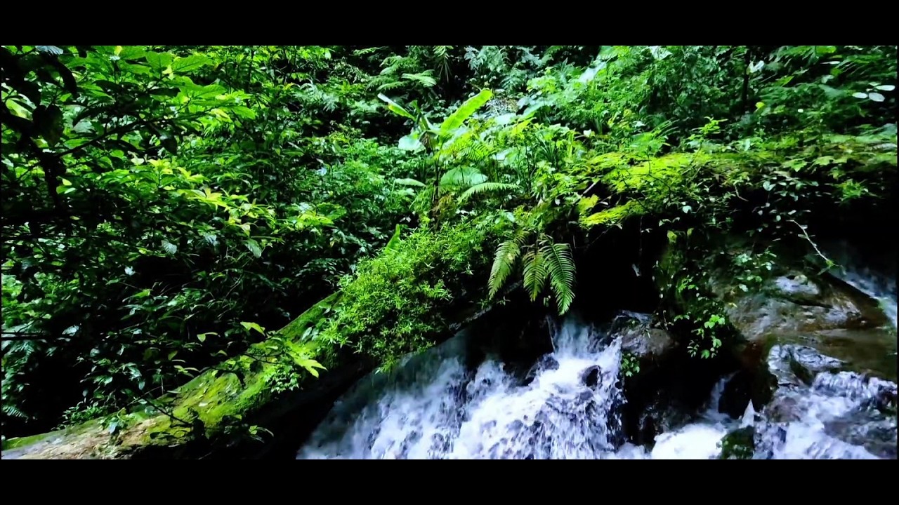 Relaxing River White Noise  Sleep Meditation Water Sounds