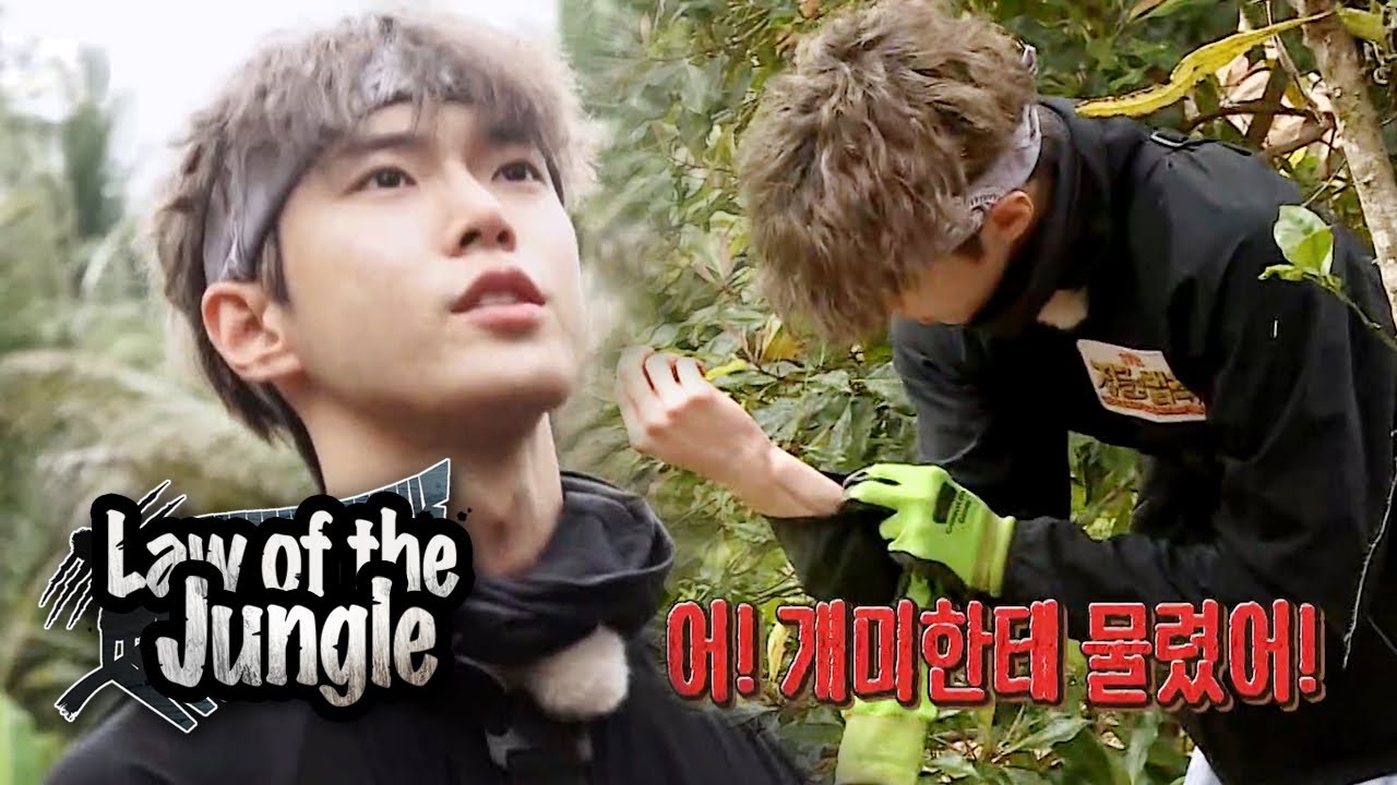 Do Young Got Bit by an Ant..!!! [Law of the Jungle Ep 389]