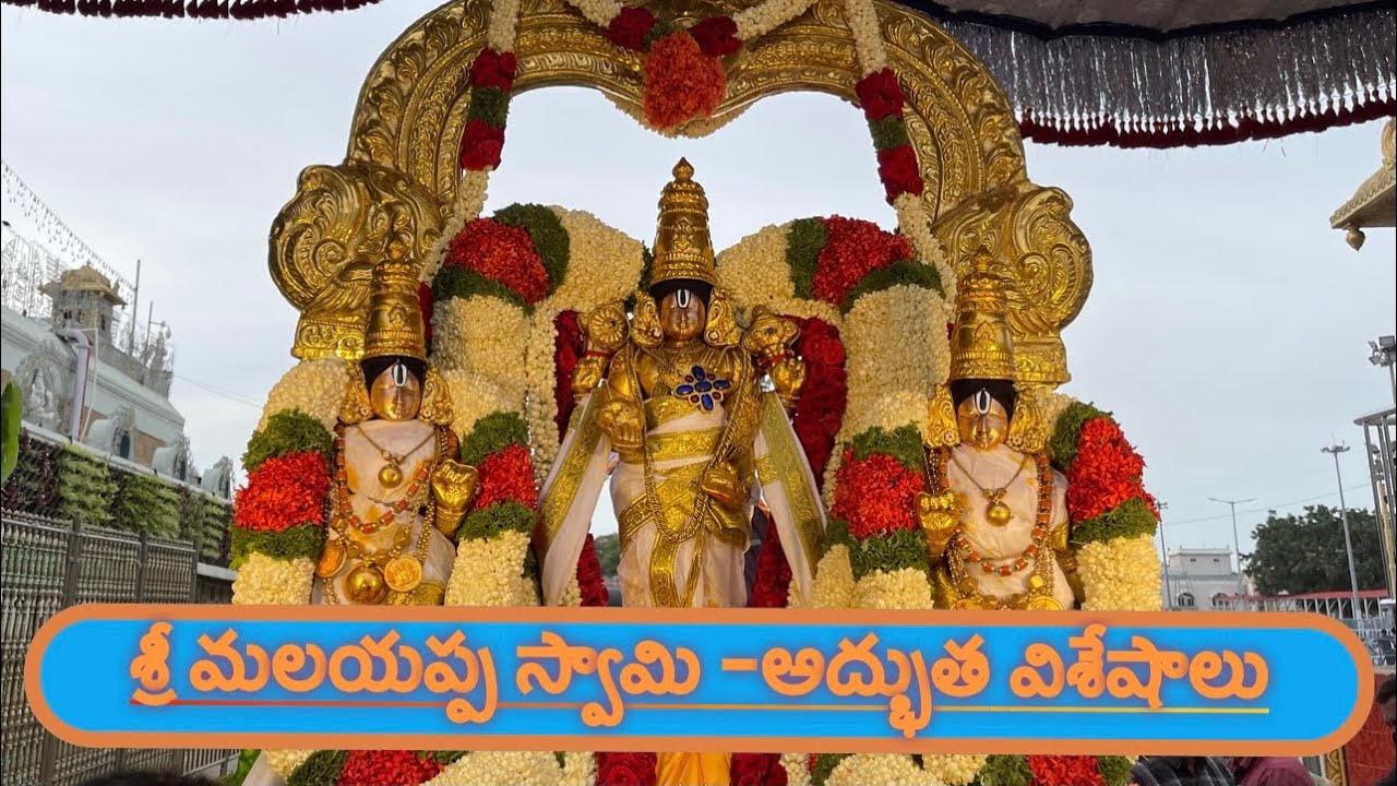 శ్రీ మలయప్ప స్వామివారు -అద్భుత విశేషాలు