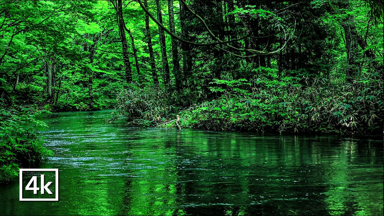 10 Hours of Gentle Water Sounds for Sleep | Real Nature (No Music)