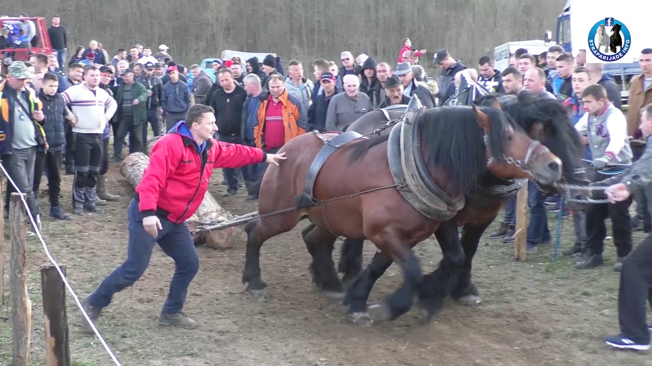 -Istorijska pobjeda Garova sa novim grlima u Miskoj Glavi -15.3.2020.