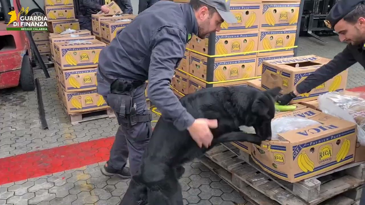 Eureka, sequestro da 18 milioni a otto narcotrafficanti sui proventi della cocaina