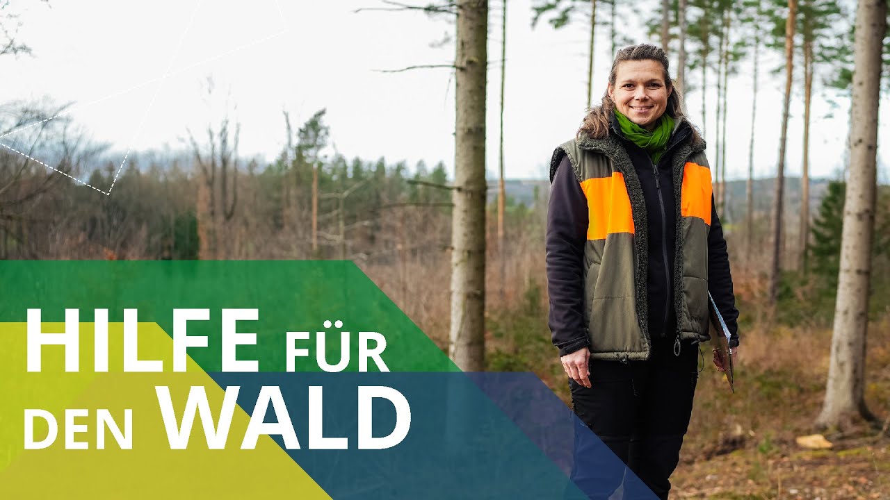Bäume pflanzen für die Wissenschaft 🌳 | Auf Arbeit mit … Forstwissenschaftlerin Sandra Liebal