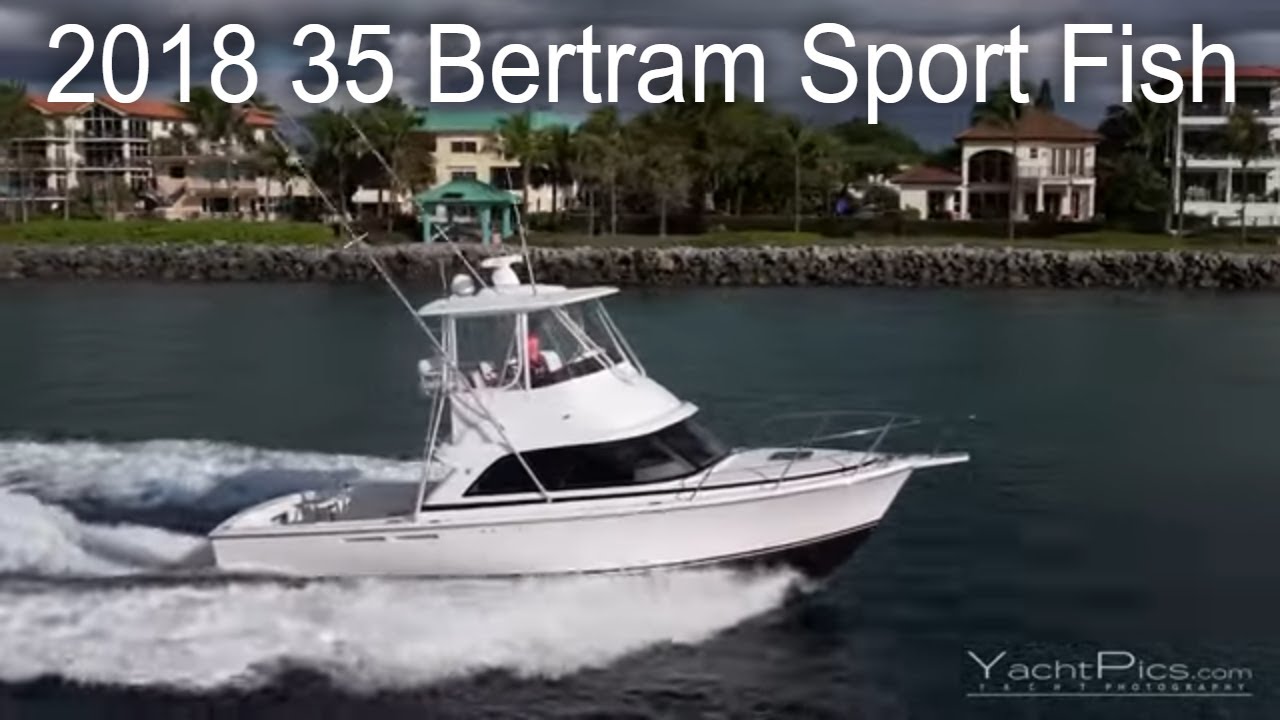 35 Bertram Sport Fish 