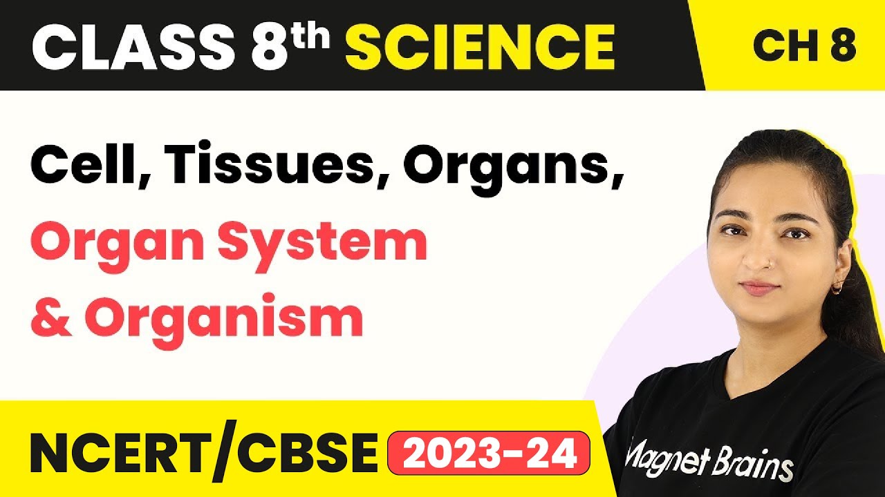 Cell, Tissues, Organs, Organ System and Organism | Class 8 Science Chapter 8 (2022-23)