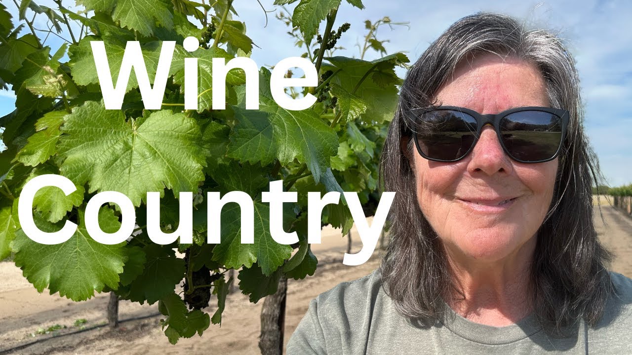 Northern California Wine Tasting & Backcountry Camping