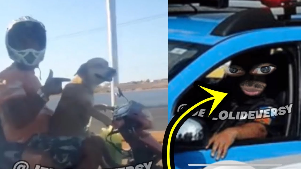 MEMES POLICIAIS - O PASSADO DO VILÃO/HERÓI 06