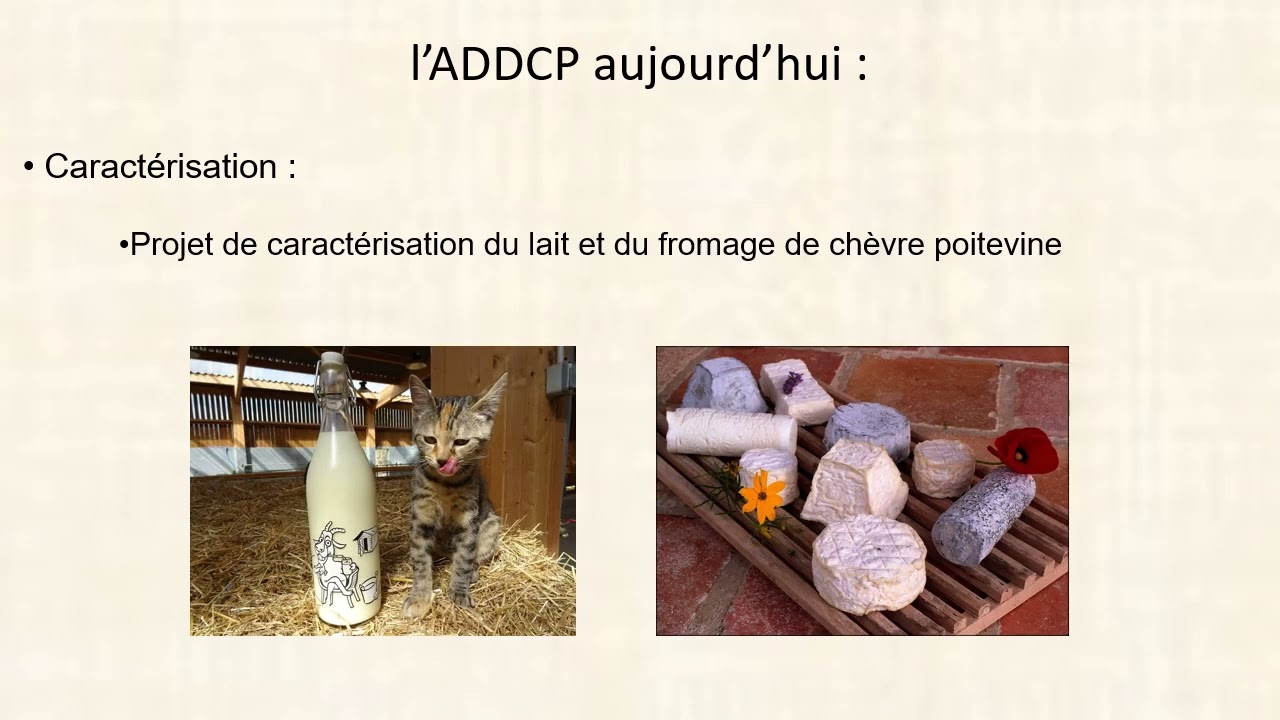 ADDCP - Association de Défense et de Développement de la Chèvre Poitevine