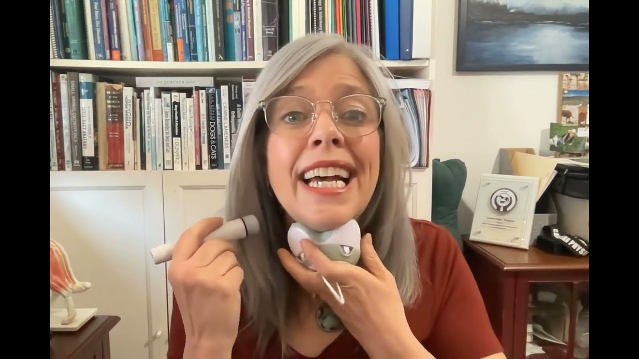 FourLegRehabMinute-NovelWaysToStimulateTheVagusNerve