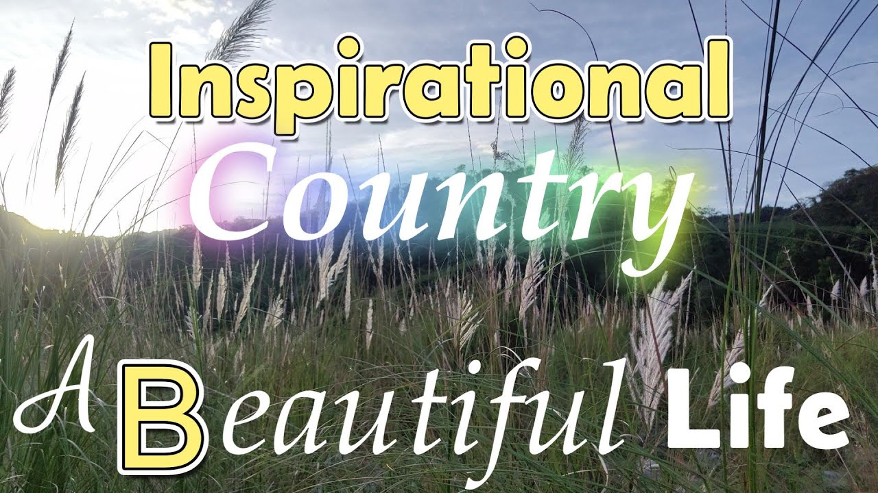 Inspirational Country Tracks/ A Beautiful Life