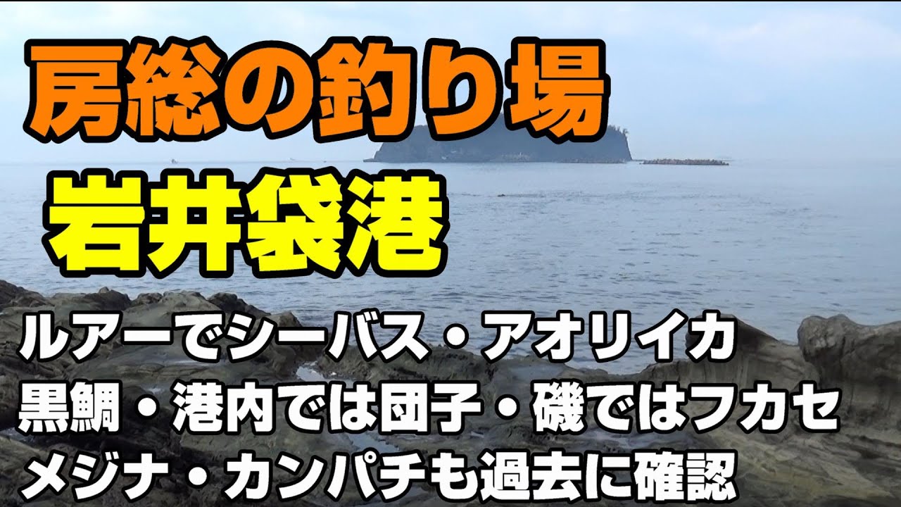 房総の釣り場、岩井袋港、黒鯛・メジナ・シーバス・アオリイカ・青物などが釣れる港。港内は水深があり、黒鯛ならダンゴ釣り、磯ではフカセ釣りが良さそうでした。
