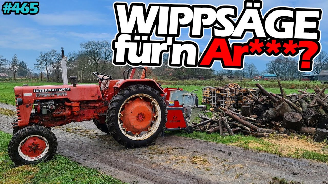 WIPPSÄGE doch Mist? | Endlich! Mein neuer HOLZVERGASER! | Mc Cormick D430 | HDG F40 |Mr. Moto