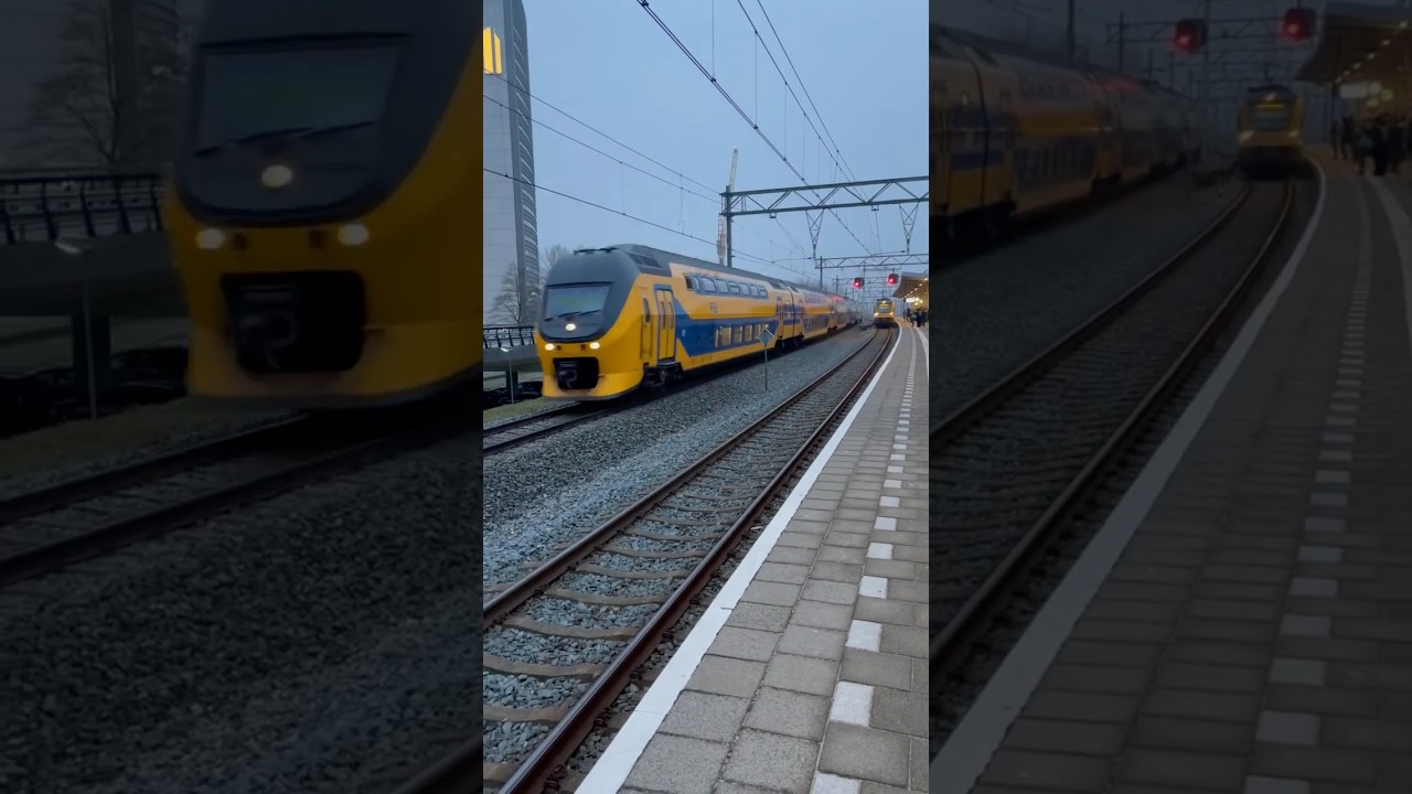Intercity (IC) and Sprinter Trains (Netherlands). #travel #tourism #railway #trains #netherlands