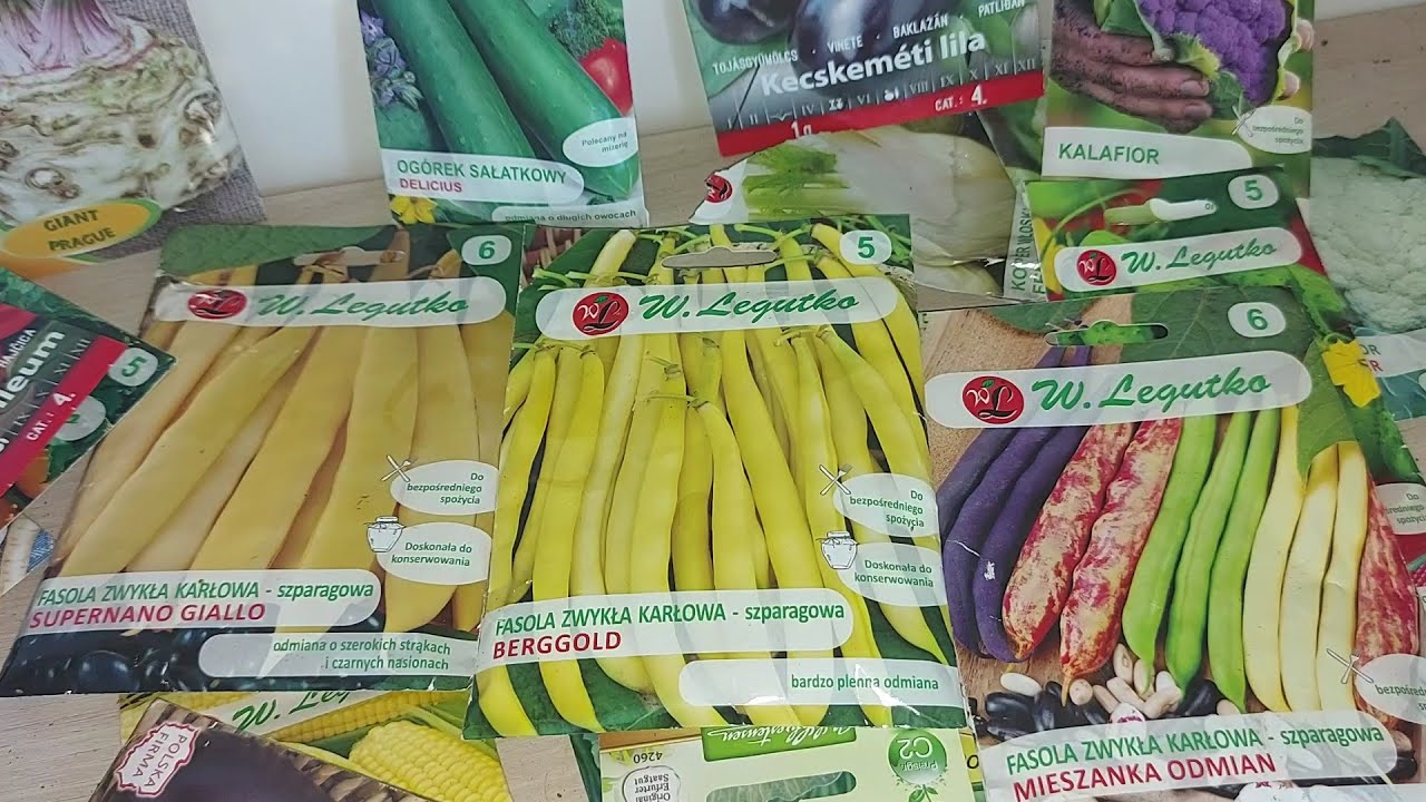 Какая фасоль лучше? Кустарниковая фасоль или стручковая фасоль лучше?