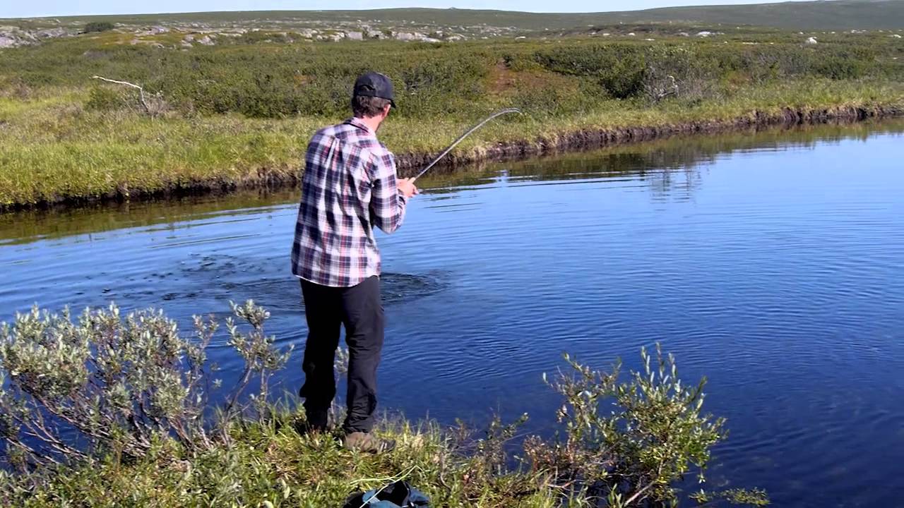 Grayling featuring ABBA - frontsidefly.com 2013